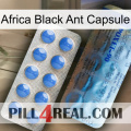 Africa Black Ant Capsule 40